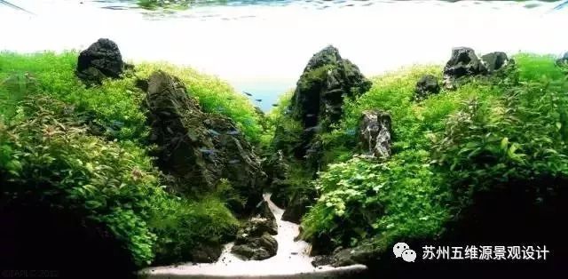 北京品墨軒文化有限公司（北京品墨軒文化有限公司怎么樣）