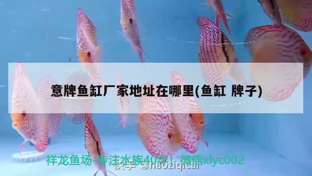 錦州濱海新區(qū)大軍觀賞魚養(yǎng)殖廠（錦州濱海新區(qū)大軍觀賞魚養(yǎng)殖廠電話）