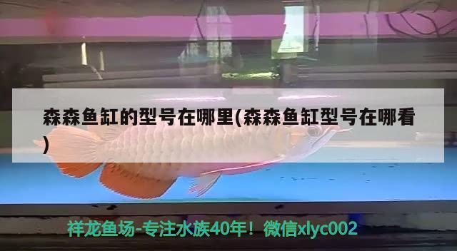 錦州濱海新區(qū)大軍觀賞魚養(yǎng)殖廠（錦州濱海新區(qū)大軍觀賞魚養(yǎng)殖廠電話）