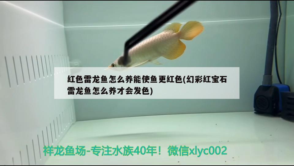 依蘭縣金領(lǐng)倉買店