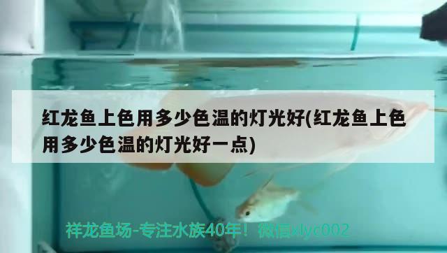 依蘭縣金領(lǐng)倉買店
