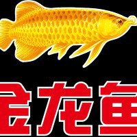 金龍魚江西分公司
