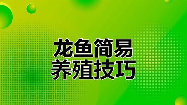 金龍魚需要多大的水流量？