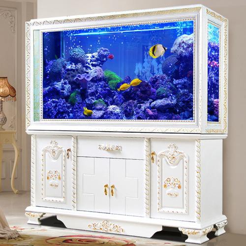 金龍魚缸背景