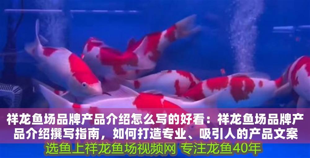 祥龍魚場品牌產品介紹怎么寫的好看：祥龍魚場品牌產品介紹撰寫指南，如何打造專業、吸引人的產品文案