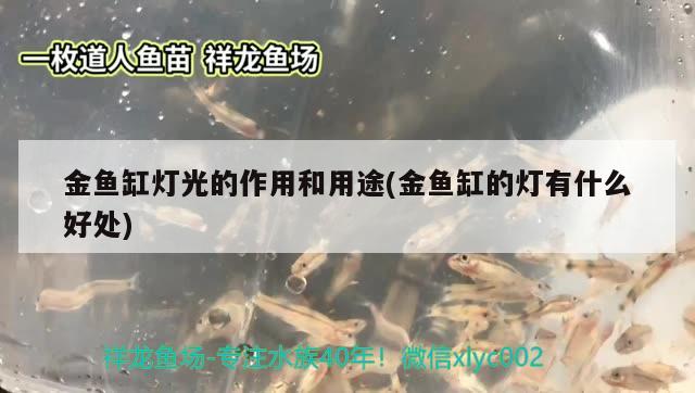 大同市平城區(qū)振廷炸雞店