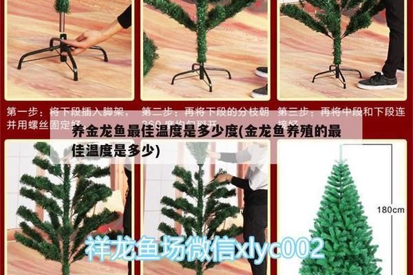 冬天養(yǎng)金龍魚的溫度：金龍魚適合水溫多少度過冬天 冬天養(yǎng)金龍魚的溫度：金龍魚適合水溫多少度過冬天 龍魚百科 第9張