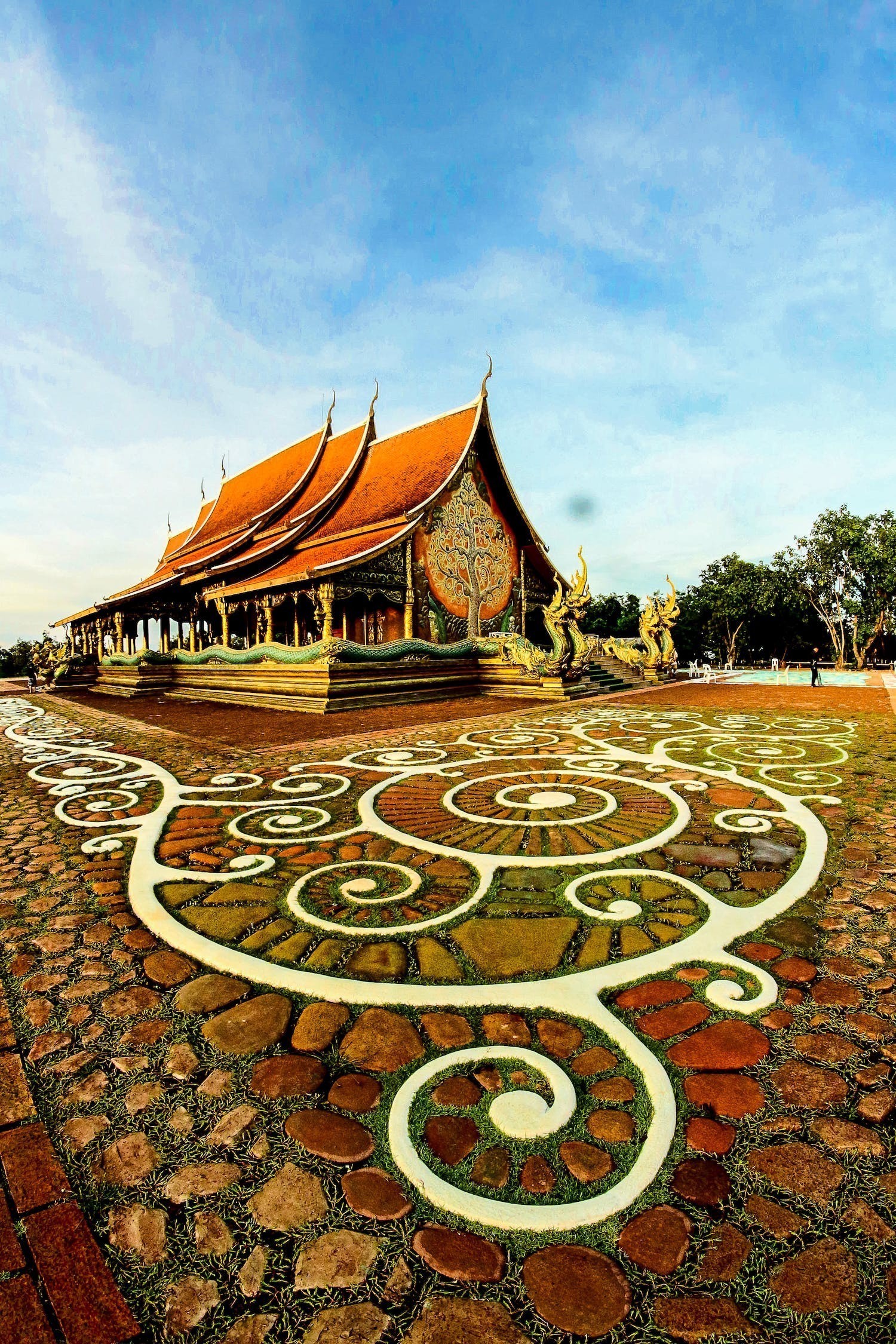 大慶市龍鳳區(qū)國金觀賞魚養(yǎng)殖