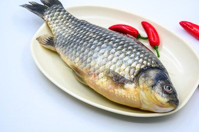 龍魚是一種受歡迎的食材，不僅肉質鮮嫩，而且營養豐富，營養豐富：幾種龍魚烹飪方法 龍魚是一種受歡迎的食材，不僅肉質鮮嫩，而且營養豐富，營養豐富：幾種龍魚烹飪方法 龍魚百科 第1張