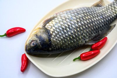 龍魚是一種受歡迎的食材，不僅肉質鮮嫩，而且營養豐富，營養豐富：幾種龍魚烹飪方法 龍魚是一種受歡迎的食材，不僅肉質鮮嫩，而且營養豐富，營養豐富：幾種龍魚烹飪方法 龍魚百科 第3張