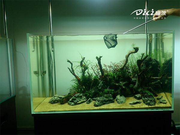 寶雞市金臺區游鰭美麗<strong><mark>水族器材</mark></strong>銷售部（寶雞游泳）