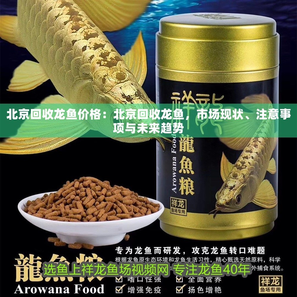 <strong><mark>北京</mark></strong>回收龍魚價(jià)格：<strong><mark>北京</mark></strong>回收龍魚，市場(chǎng)現(xiàn)狀、注意事項(xiàng)與未來趨勢(shì)