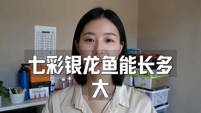 80cm的缸養一條銀龍魚多少錢一只