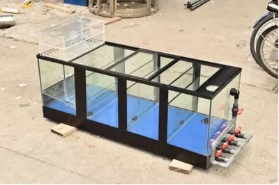 養兩條龍魚的寓意:養兩條龍魚有什么寓意? 龍魚百科 第2張 養兩條龍魚的寓意:養兩條龍魚有什么寓意? 養兩條龍魚的寓意:養兩條龍魚有什么寓意? 龍魚百科 第2張