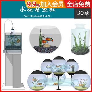 金龍魚缸可以養(yǎng)水草嗎，：金龍魚缸可以養(yǎng)水草嗎金龍魚缸可以養(yǎng)水草嗎