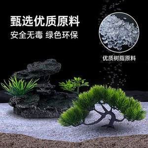 金龍魚缸可以養(yǎng)水草嗎，：金龍魚缸可以養(yǎng)水草嗎金龍魚缸可以養(yǎng)水草嗎