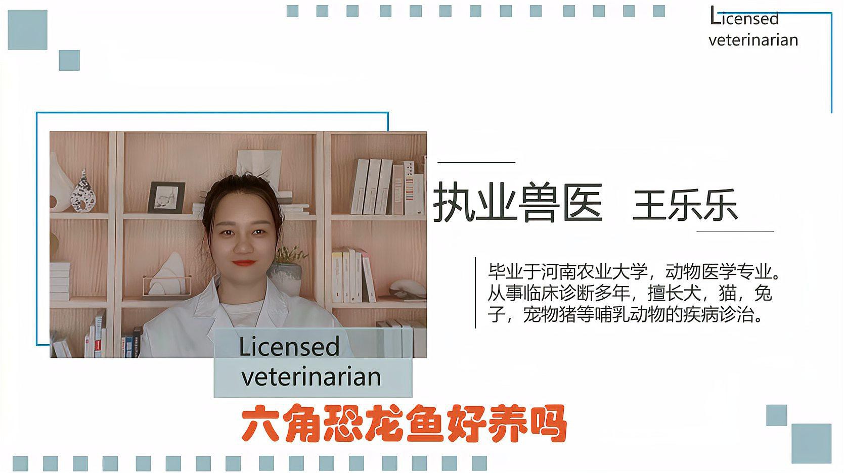 小型恐龍魚有哪些品種圖片及價格