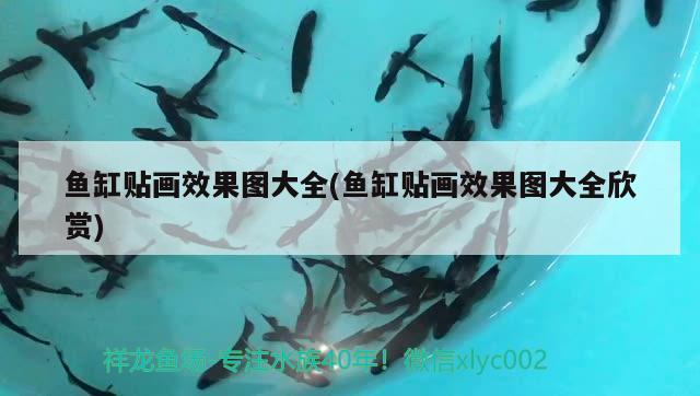 寶雞市金臺區深水埠造景水族工作室