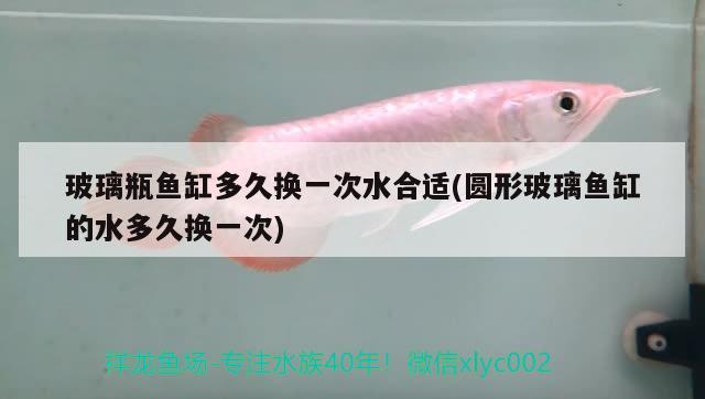 寶雞市金臺區深水埠造景水族工作室
