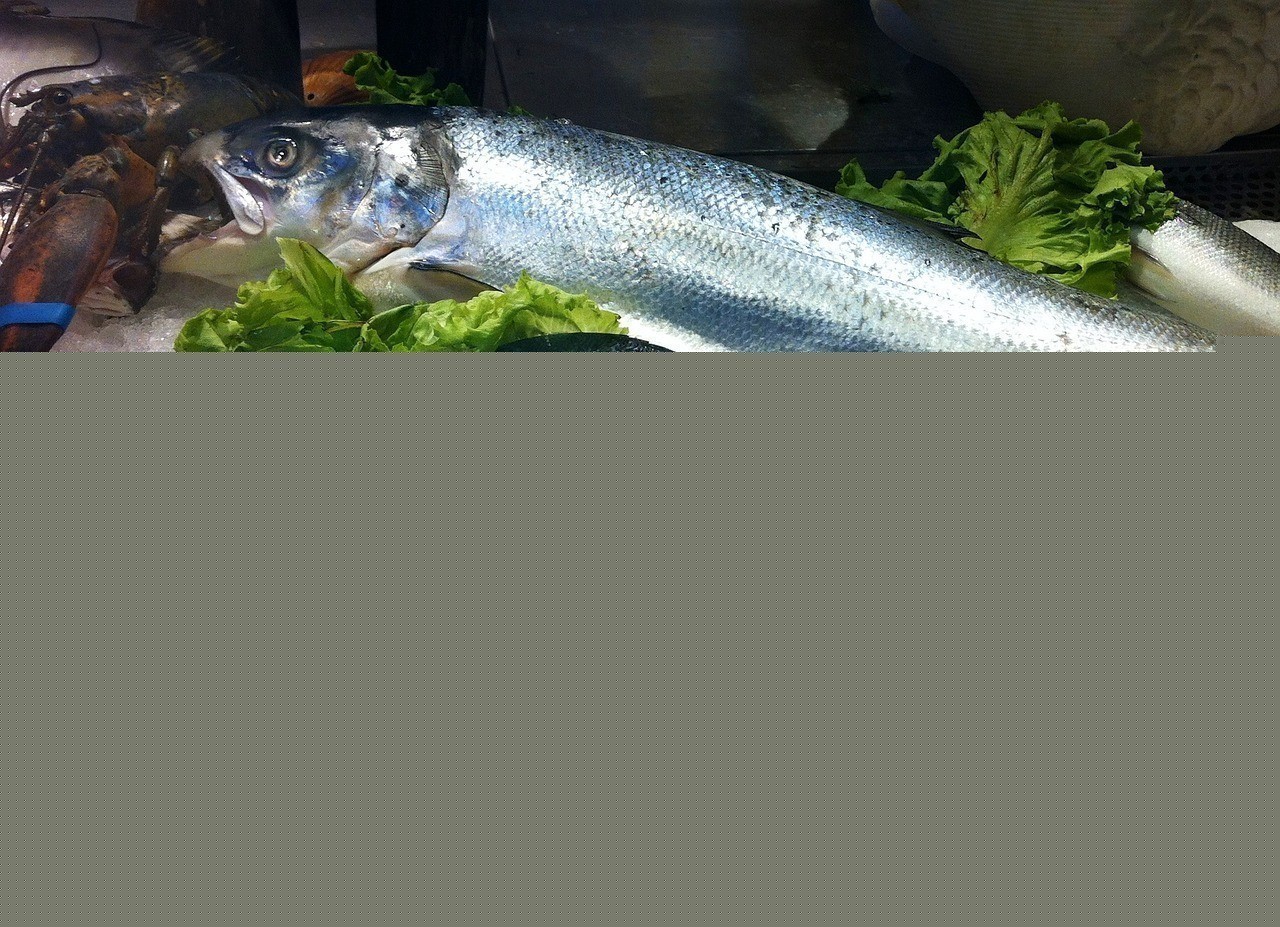 蓬萊市登州唐寧觀賞魚店（蓬萊賣觀賞魚）