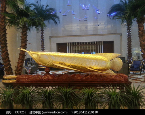 佛山市順德區(qū)倫教何錦光水族店（順德何錦榮）