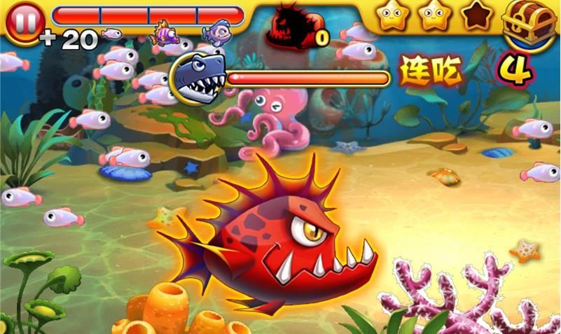 龍魚吃小魚嗎：如何判斷龍魚是否吃小魚