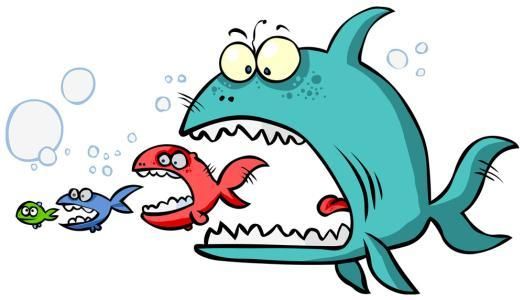 龍魚吃小魚嗎：如何判斷龍魚是否吃小魚