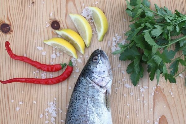 金龍魚招財魚混養最佳搭配圖（金龍魚與招財魚混養最佳搭配圖）