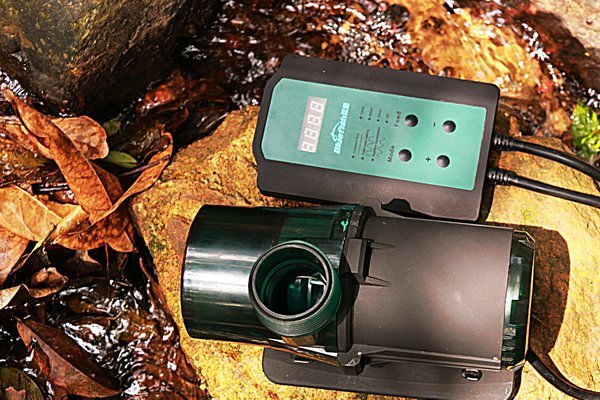 營口市鲅魚圈區熊岳鎮卓越水族館（營口市鲅魚圈區熊岳鎮卓越水族館電話）