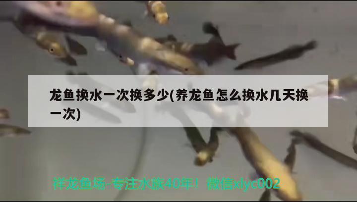 韓城市炣延百勝水族館