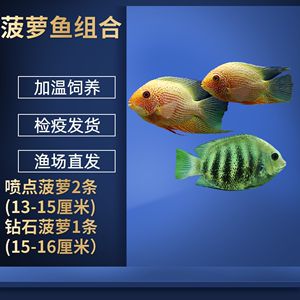 銀板魚換水操作指南：銀板魚換水的具體操作步驟