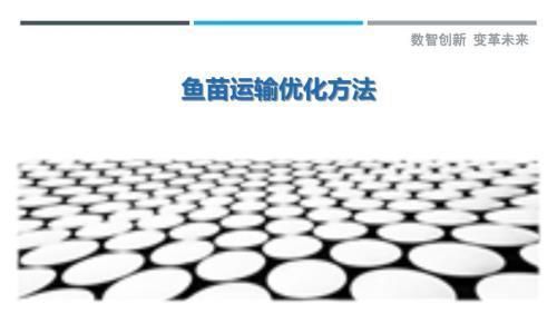 魚苗飼養環境優化方案，優化魚苗生長速度和健康水平提高魚苗生長速度和健康水平 魚苗飼養環境優化方案，優化魚苗生長速度和健康水平提高魚苗生長速度和健康水平 龍魚百科 第2張