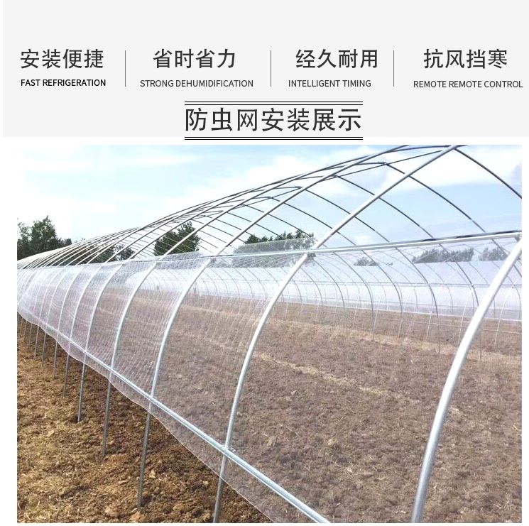 魚苗飼養環境優化方案，優化魚苗生長速度和健康水平提高魚苗生長速度和健康水平 魚苗飼養環境優化方案，優化魚苗生長速度和健康水平提高魚苗生長速度和健康水平 龍魚百科 第5張