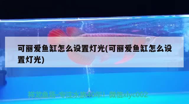 灤平縣小營鄉鑫琪漁具店（灤平縣小營鄉鑫琪漁具店電話）