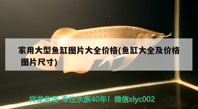 灤平縣小營鄉鑫琪漁具店（灤平縣小營鄉鑫琪漁具店電話）