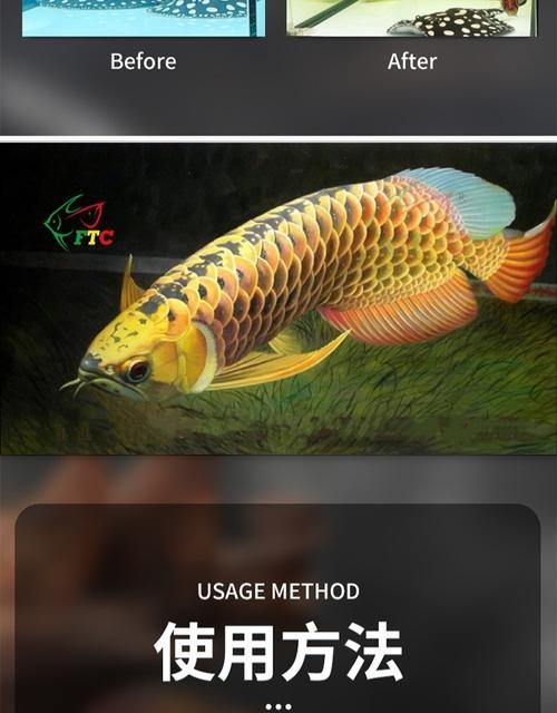 龍魚黑缸圖片欣賞大全