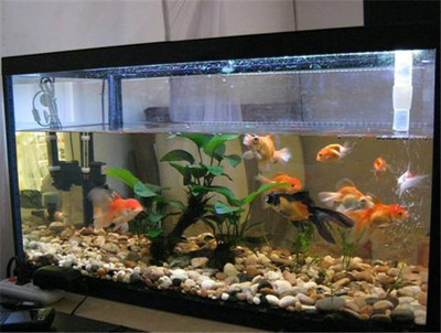 徐州經濟技術開發區紹進水產養殖中心