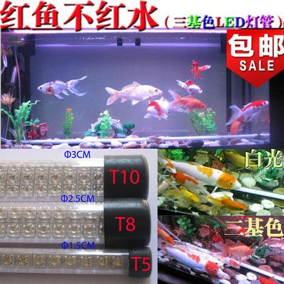 養龍魚魚缸燈最適合放在什么位置好看：養龍魚的魚缸燈的擺放位置