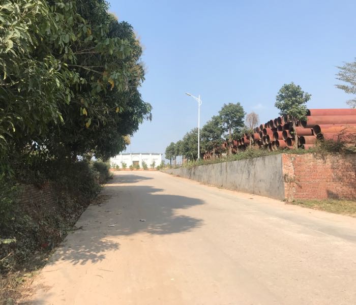 茂名金龍魚公司地址查詢