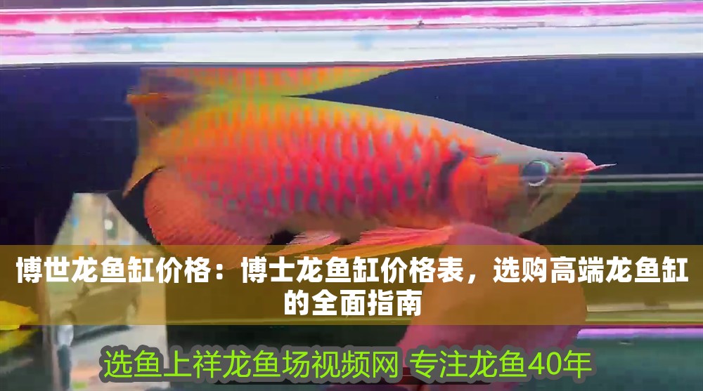 博世龍魚缸價格:博士龍魚缸價格表,選購高端龍魚缸的全面指南 龍魚百科 第1張 博世龍魚缸價格:博士龍魚缸價格表,選購高端龍魚缸的全面指南 博世龍魚缸價格:博士龍魚缸價格表,選購高端龍魚缸的全面指南 龍魚百科 第1張