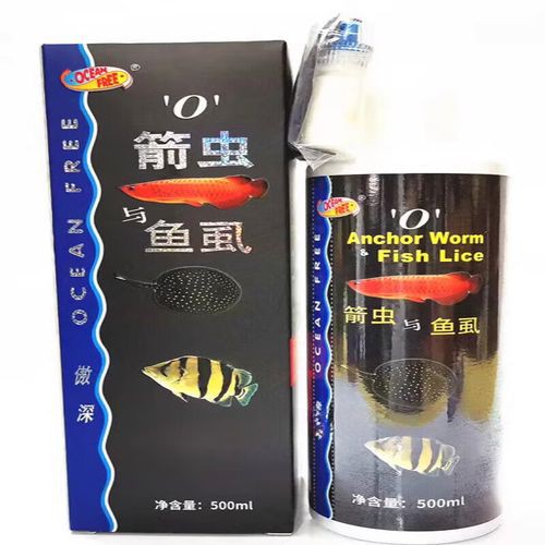 紅龍魚有寄生蟲怎么辦啊圖片