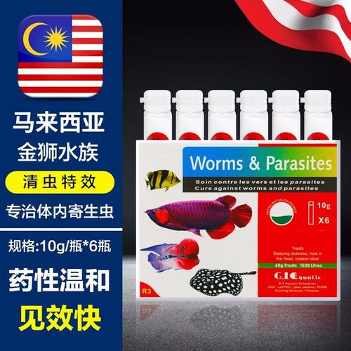 紅龍魚有寄生蟲怎么辦啊圖片