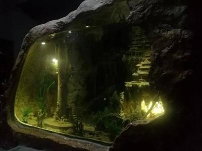 東海龍宮御龍魚缸價格，東海龍宮御龍魚缸價格沒有可以直接的答案：東海龍宮御龍魚缸價格如何？