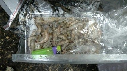 龍魚凍蝦能放多久啊：關于龍魚凍蝦的保存時間，我們可以得出以下結論結論