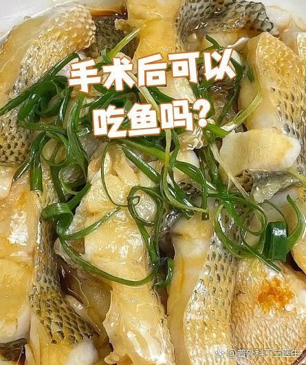 龍魚手術(shù)后不吃東西怎么辦