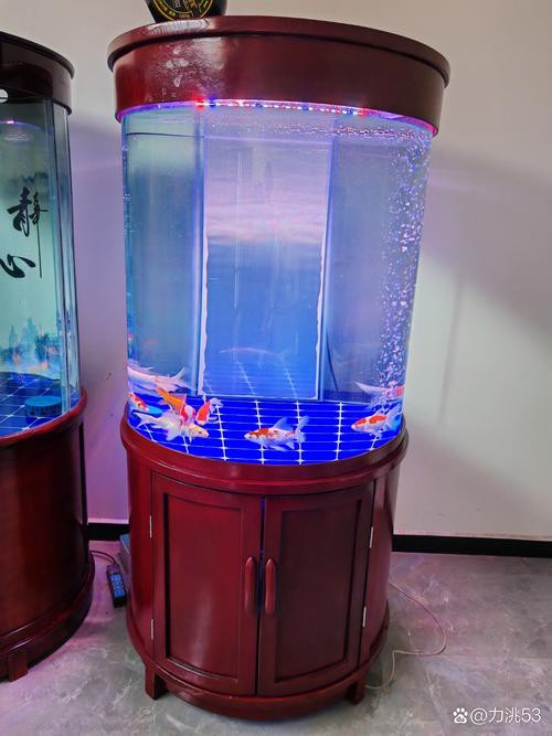 推薦一些性價比高的龍魚缸品牌