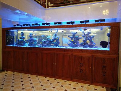 祥龍魚場水族館加盟條件是什么（“祥龍魚場水族館”加盟條件）