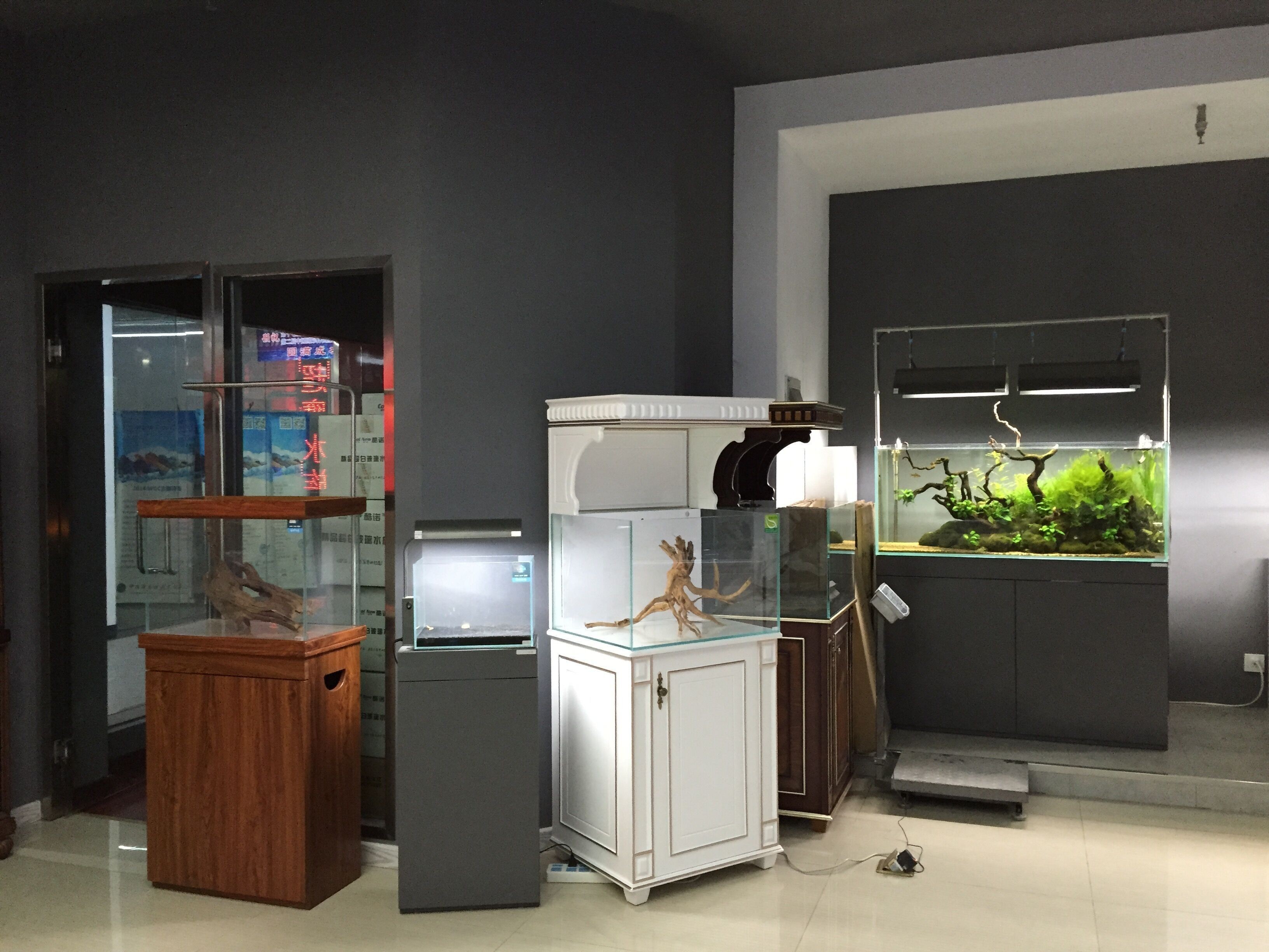 祥龍魚場水族館加盟條件是什么（“祥龍魚場水族館”加盟條件）