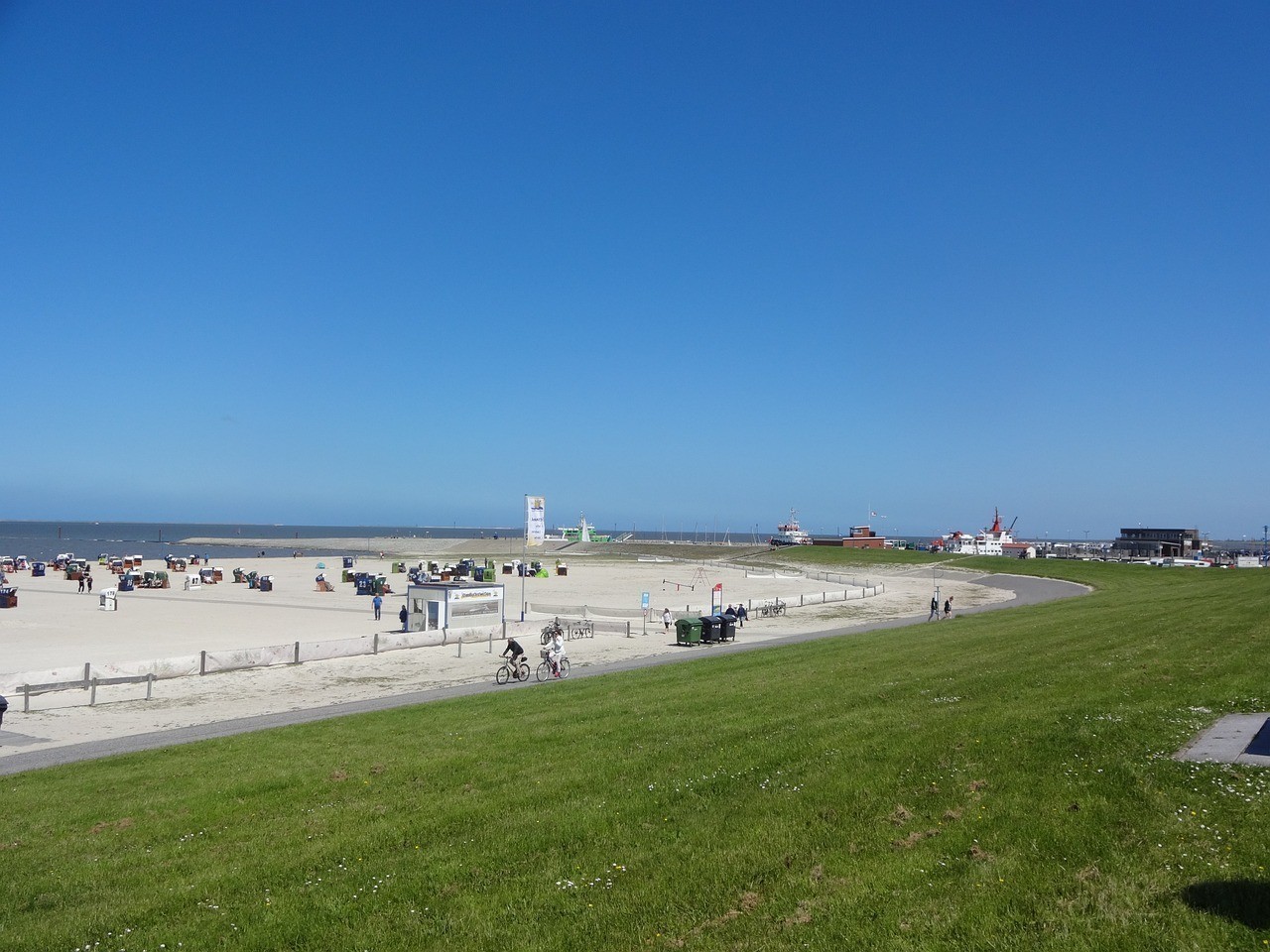 茂名市電白區沙瑯鎮花夢谷花店 茂名市電白區沙瑯鎮花夢谷花店 全國水族館企業名錄 第1張