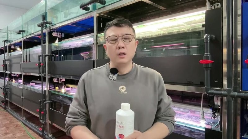 龍魚不吃食可以用益生菌調理嗎？ 龍魚不吃食可以用益生菌調理嗎？ 龍魚百科 第1張